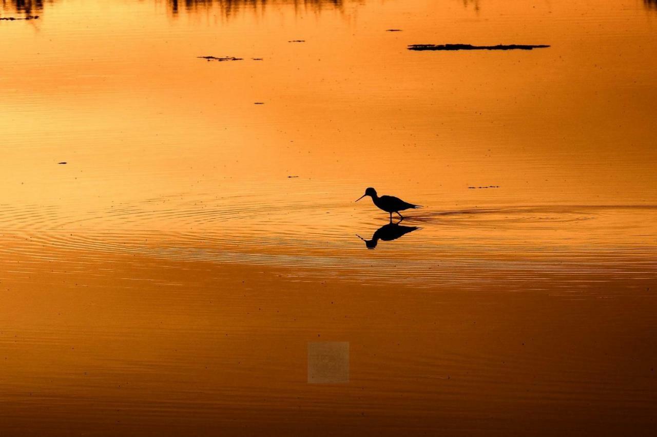 Brisas Da Ria Appartamento Olhão Esterno foto